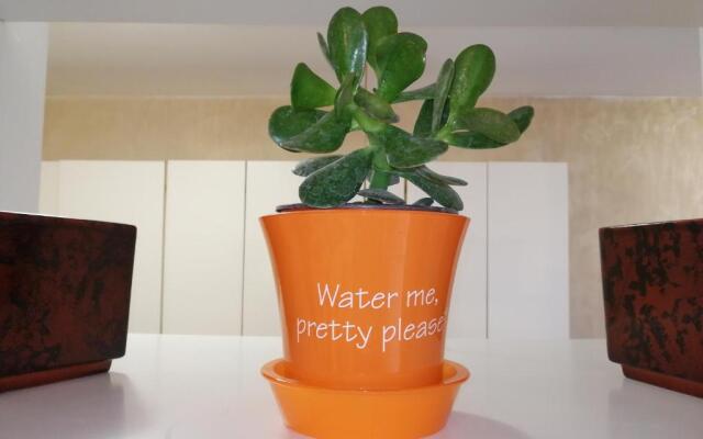 Star Apartment Belgrade