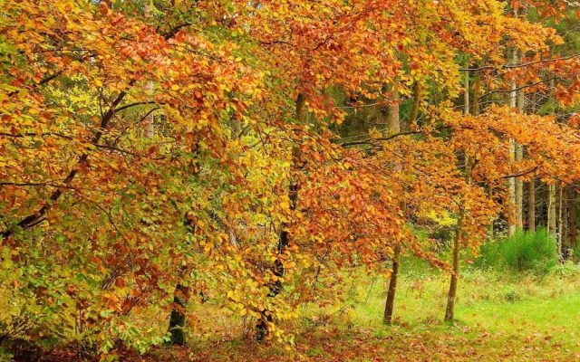 4 Person Holiday Home in Ans By-by Traum