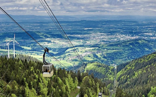 Mariposa Apartamento