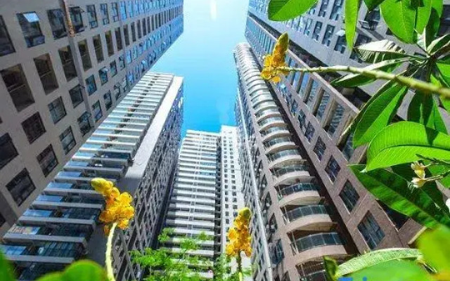 WWW Seaview Apartment