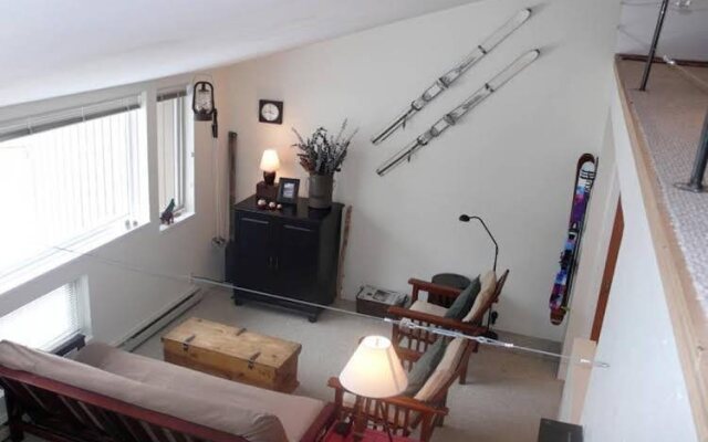 Pitkin Creek Condominiums