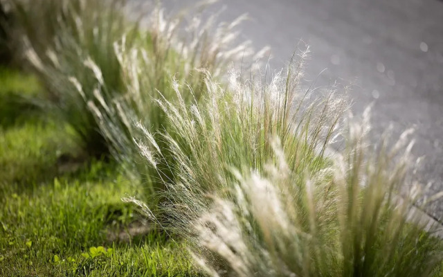 Spark by Hilton Pobierowo