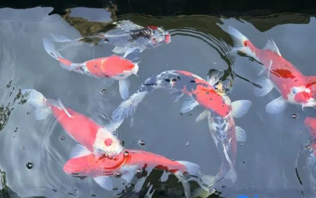 Renjoy Hotel Beijing Yonghe Temple Guijie Siheyuan