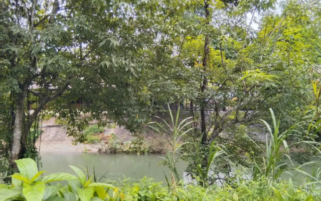 Khao Sok River & Jungle Resort