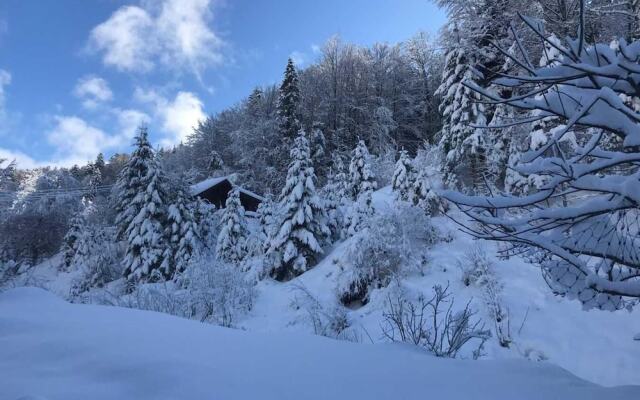 Wildromantisches Appartement am Bachlauf