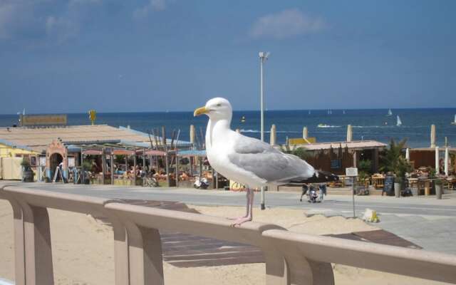 Beautiful Apartment in Scheveningen Netherlands With Garden