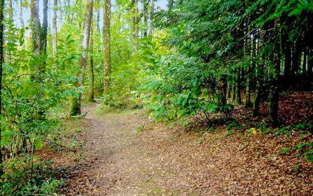 House With 2 Bedrooms in Saint-saud-lacoussière, With Wonderful Lake V