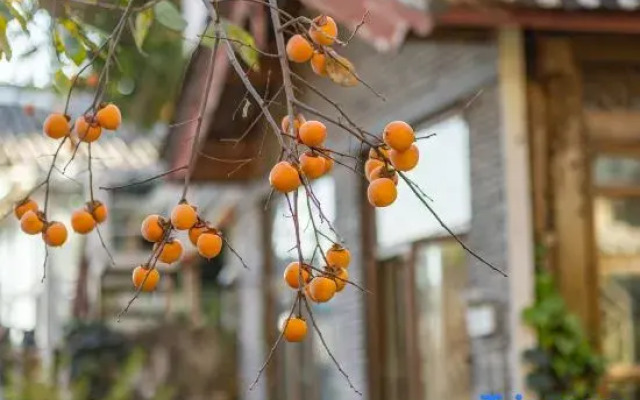Yunbo · Yinshi Mountain Courtyard (Shuhe Ancient Town Store)