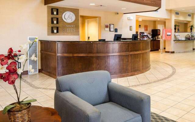 Comfort Suites Nacogdoches