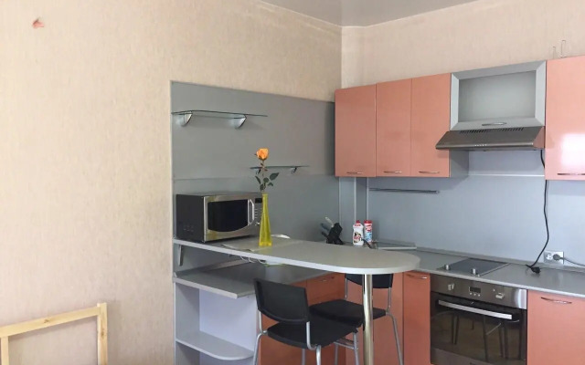 Апартаменты на улице 50 лет ВЛКСМ 15