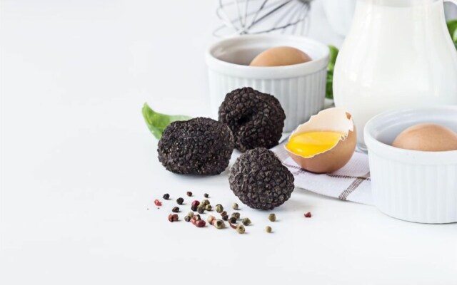 Le Clos de la Rouvinie