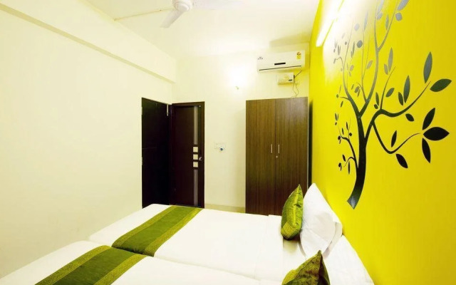 Treebo Iwe Studio