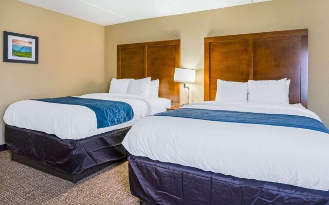 Comfort Inn Rocky Mount