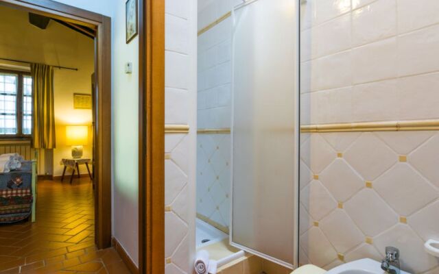 Giuggiolo - Giuggiolo 3