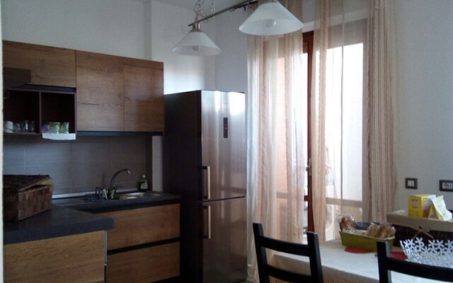 B&B Libellula