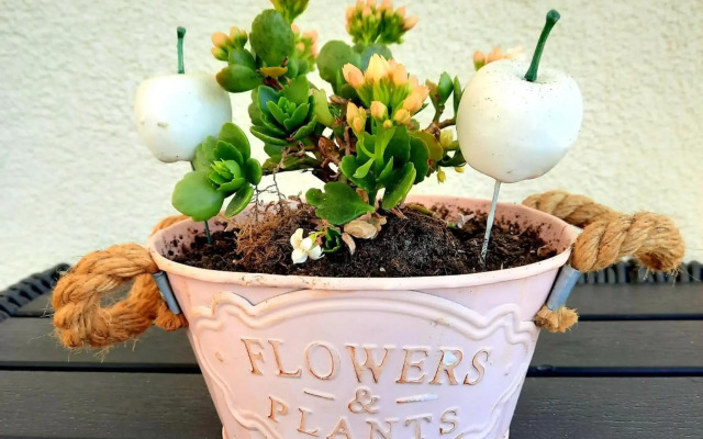 Studio apartment S&N