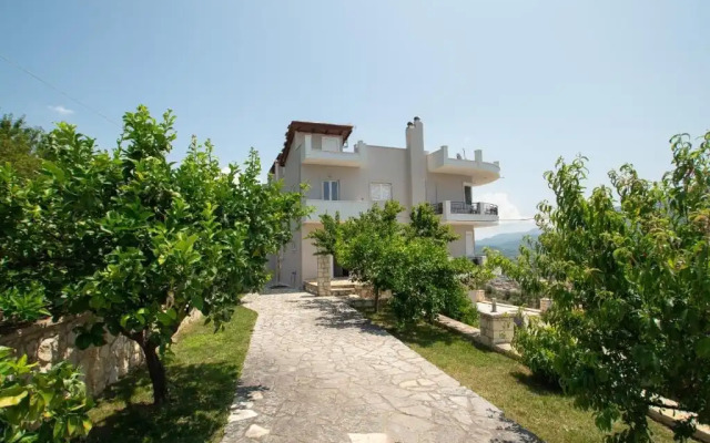 Ionian Collection