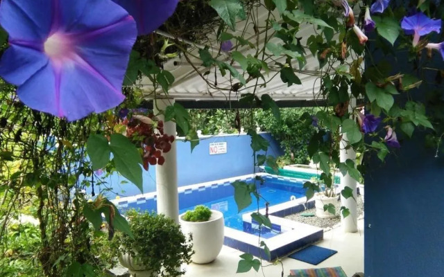 Abha Villa