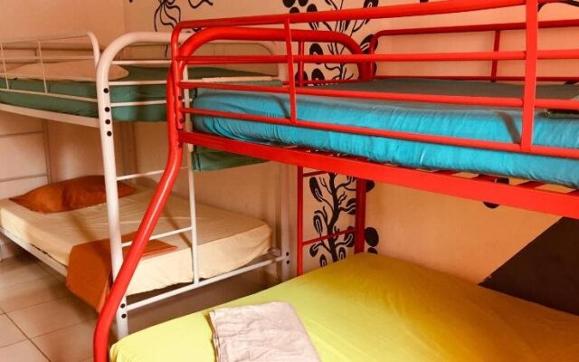 Taca Tucan Hostel