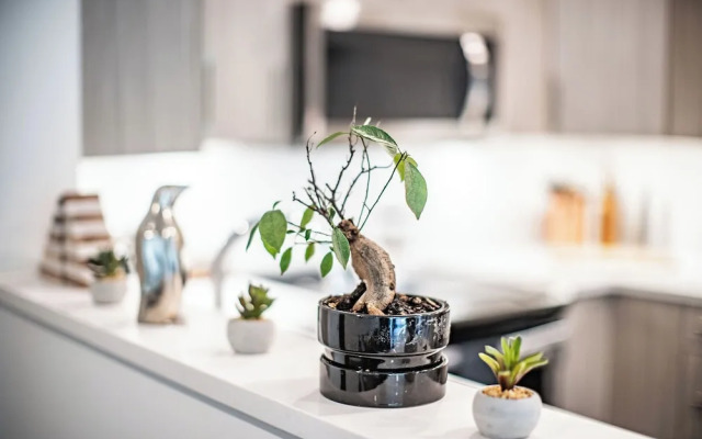 L'Austin Rêve by Revelstoke Vacations