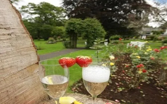 Twin Trees Hotel & Leisure Club