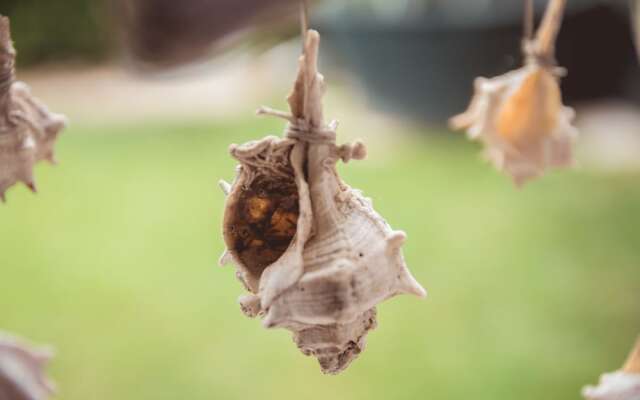 Kalogirou Stone House