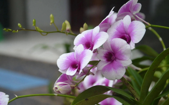 La Vita Resort Phu Quoc