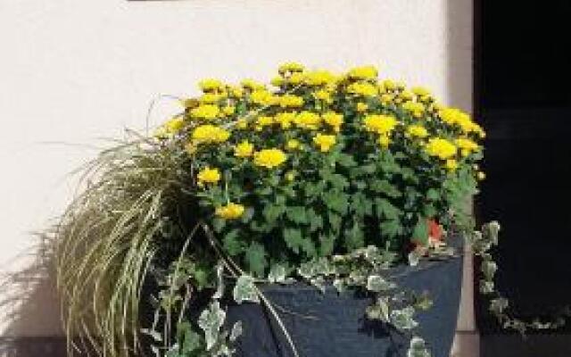 Apartments Place4you