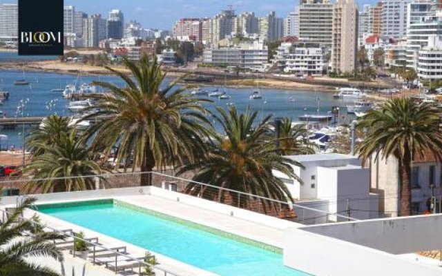 Gala Puerto Apartments