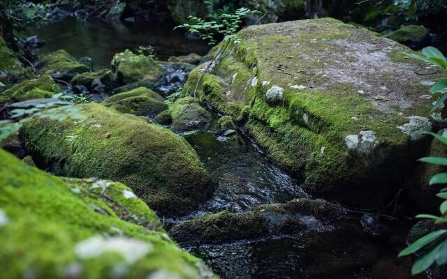 Tentrr - A Creek Runs Through It