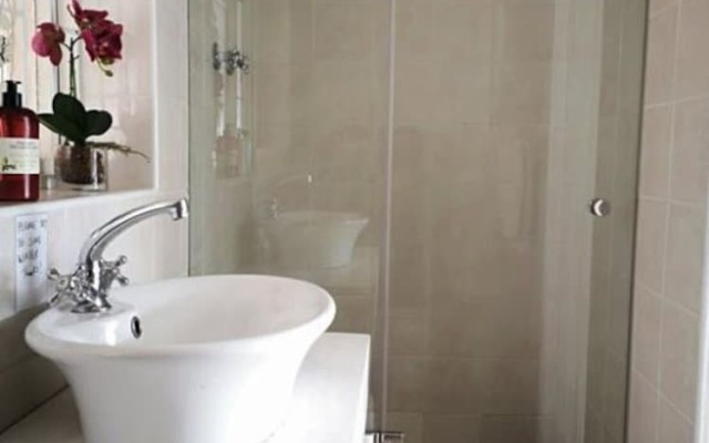 Watching Waves Heron Chase