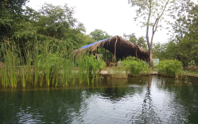 Dudhsagar Plantation
