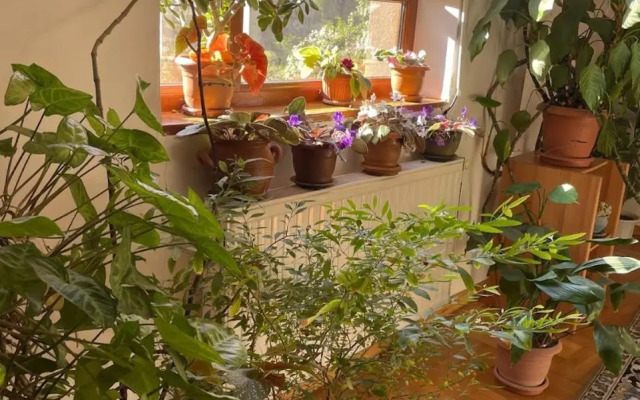 Guest House In Borjomi