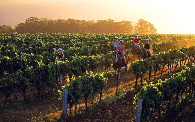 An Ideal Wine Country Getaway Villa