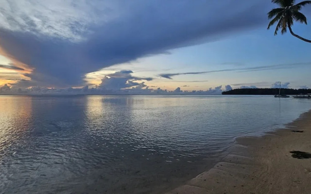 Moorea - Tropical Nest