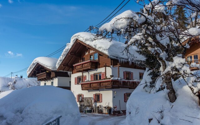 Serene Apartment in Fieberbrunn Tyrol near Ski Area