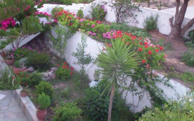 Creta Vassakis Studios