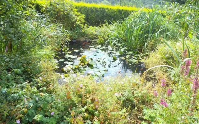 B&B Meadow View Bentwitchen