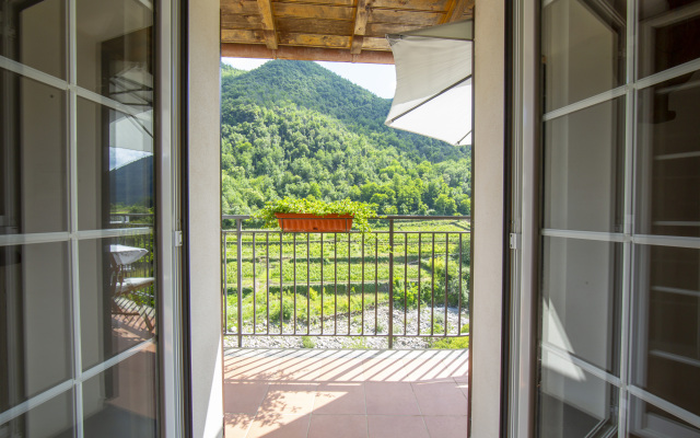 Gelsomino among vineyard