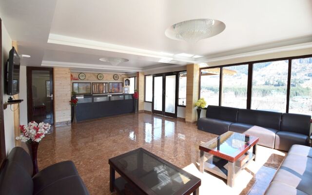 OYO 11643 Hotel Sunrise Villa