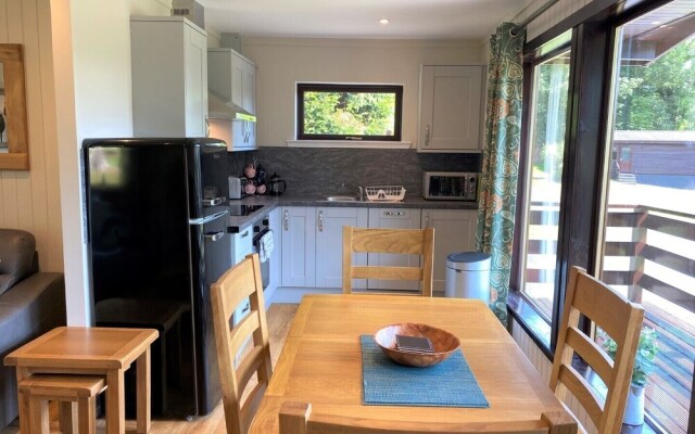 Birch Lodge 21 With Hot Tub, Newton Stewart