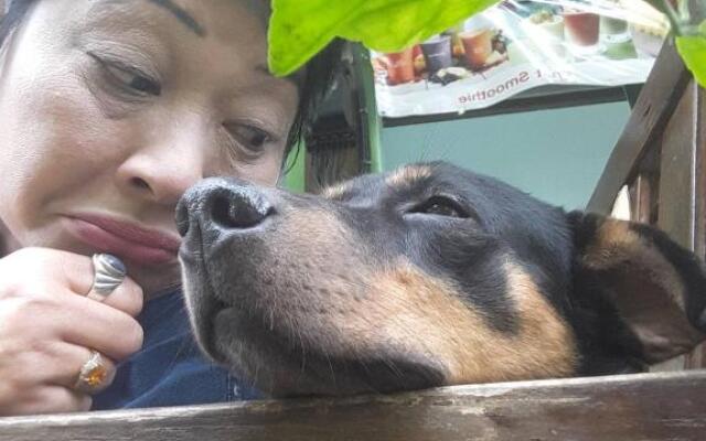 Jay Guesthoues and Restaurant