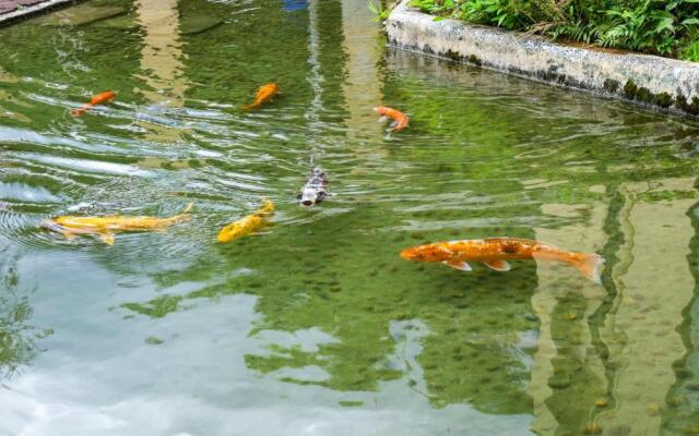 Koi Lake Hotel