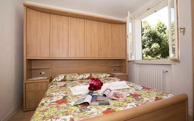 Porto Letizia Mimosa 2