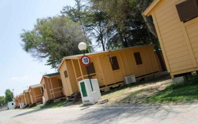 Bungalows-Camping La Rana Verde