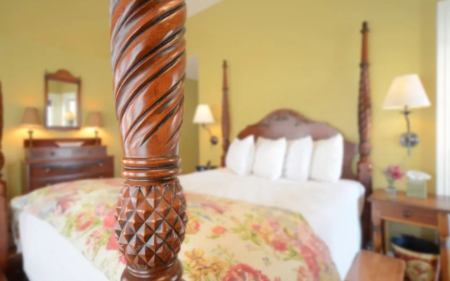 The Springwater B&B