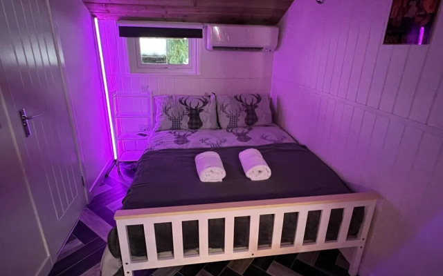 Royal Snug & WEE Snug