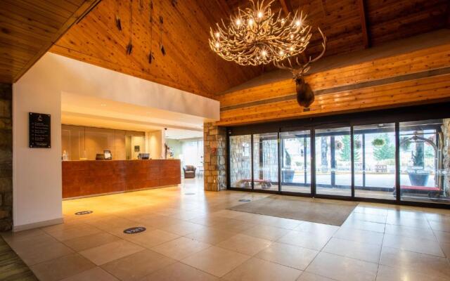 Forest Park Hotel