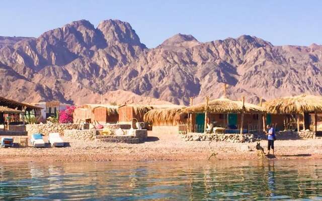 Sahara Beach Camp