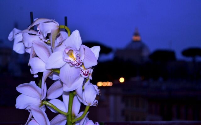 Notti al Vaticano Deluxe St.Peter's Accommodation